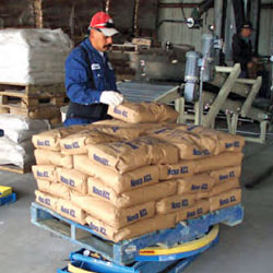 Bag Palletizers