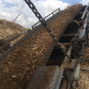 shredded ground up wood shipping pallets conveyor belt