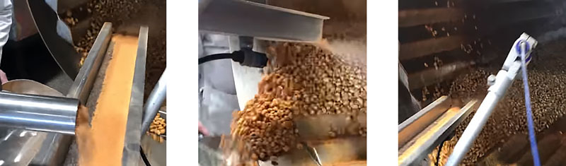 Peanut Coating Machine Uses Electrostatics to Add Seasoning