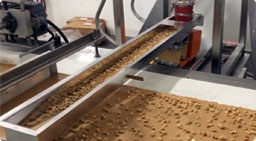 Food Processing and Packaging