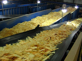 Vibrating Screen for Wet Wood Chips