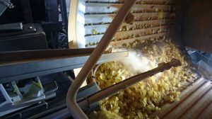 Seasoning potato chips using an electrostatic seasoning system