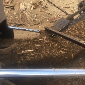 close up of shredded ground up wooden shipping pallets on conveyor belt