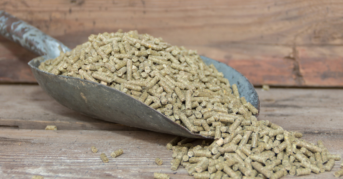 Alfalfa Pellets Bagging Machines and Systems for 20-110 LB Bags