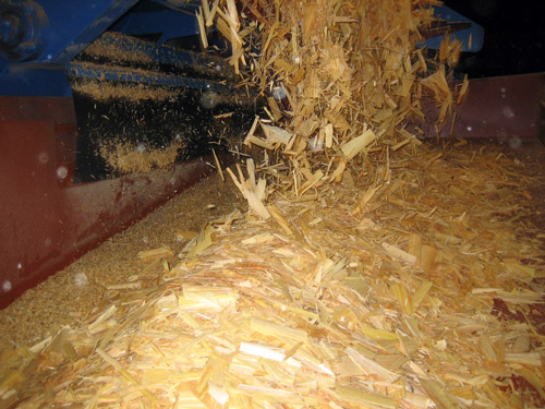 Screened Wood Chips
