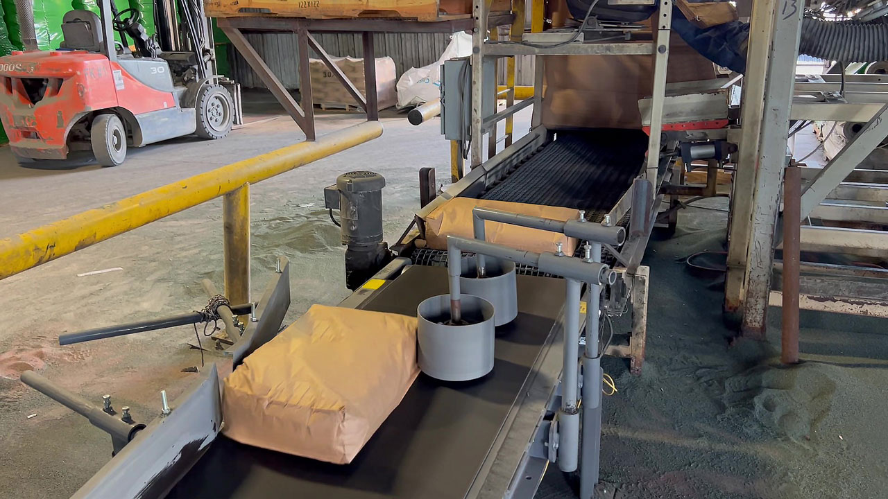 bag discharge conveyor and bag turning conveyor