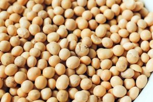 soybean bagging equipment