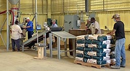 Bag Filling, Sewing, Conveying, and Palletizing